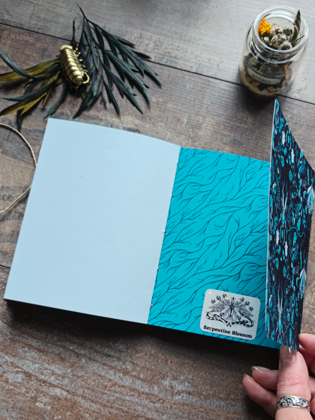 Carnet souple A6 ✦ Obscure Creatures
