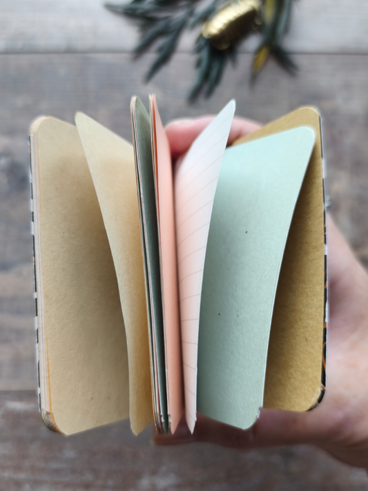 Mini carnet Moonmoths - Rainbow