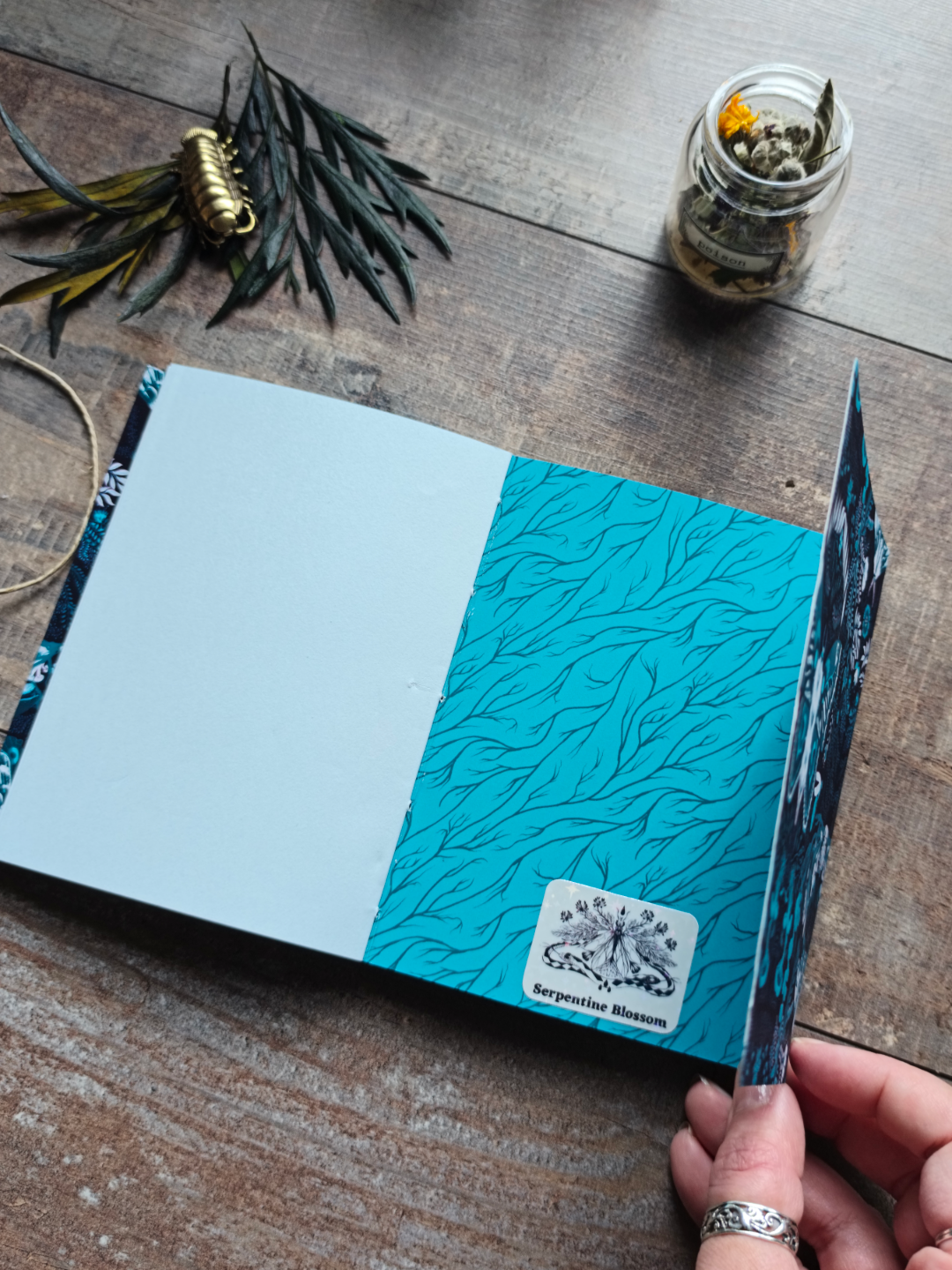 Carnet souple A6 ✦ Moonmoths