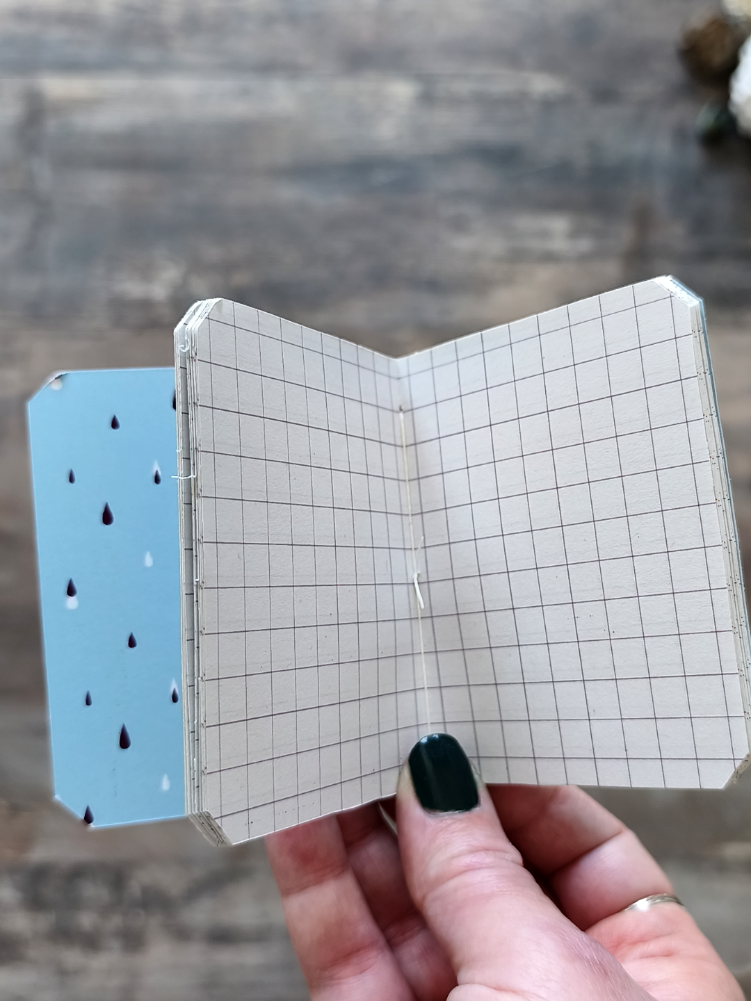 Mini carnet Flowerbugs - Carreaux