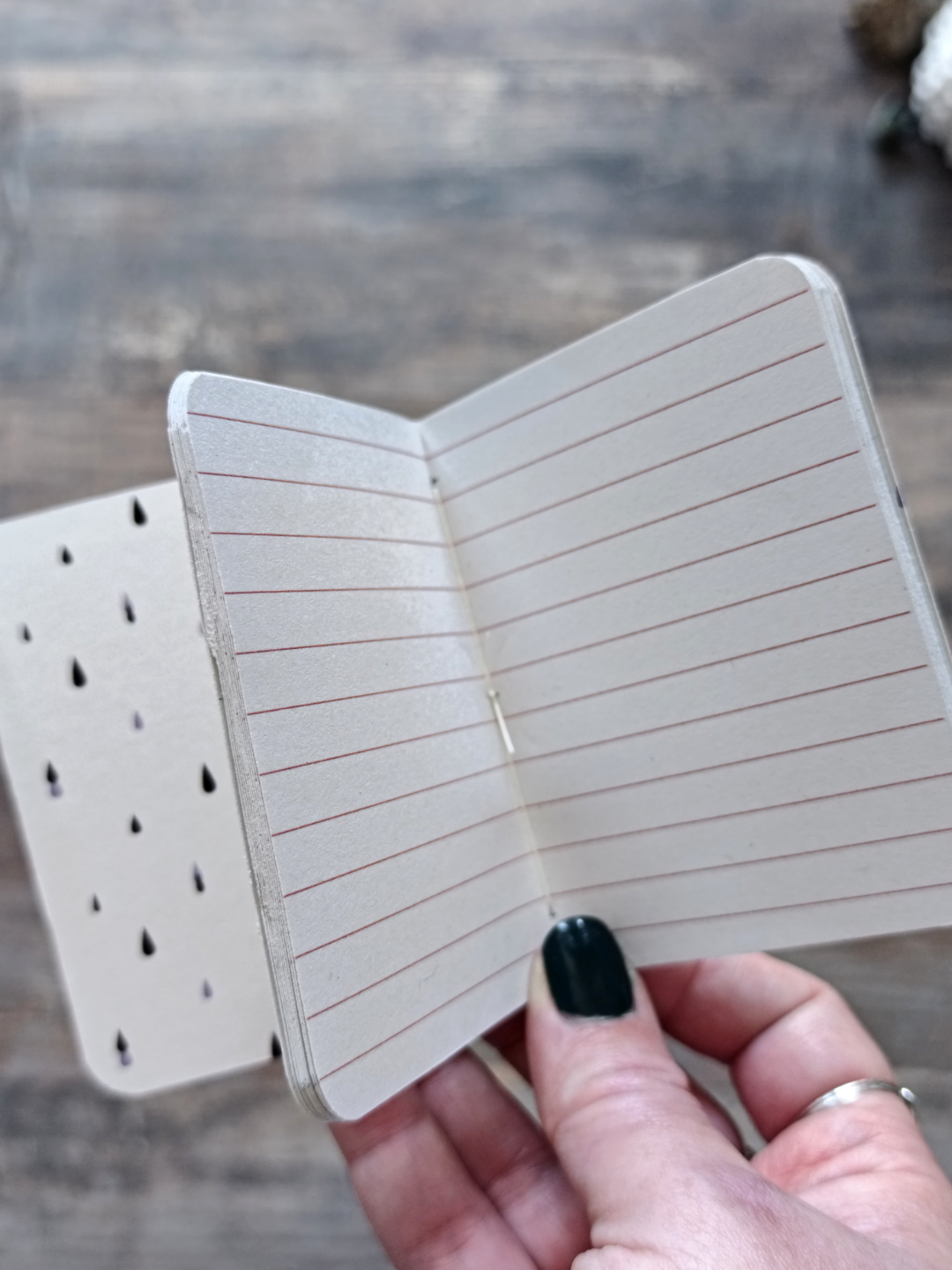 Mini carnet Flowerbugs - Mix