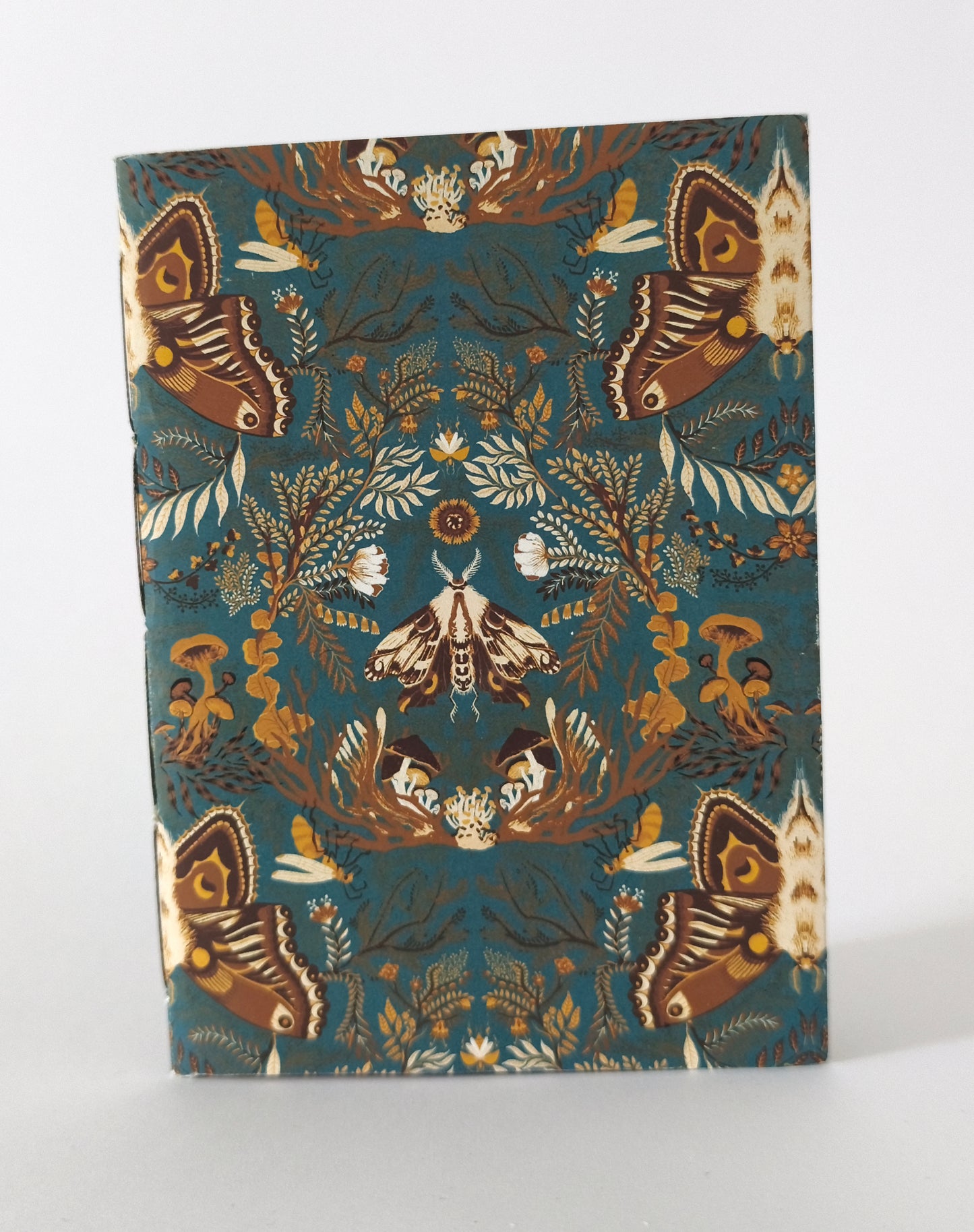 Carnet Moonmoths - Rainbow
