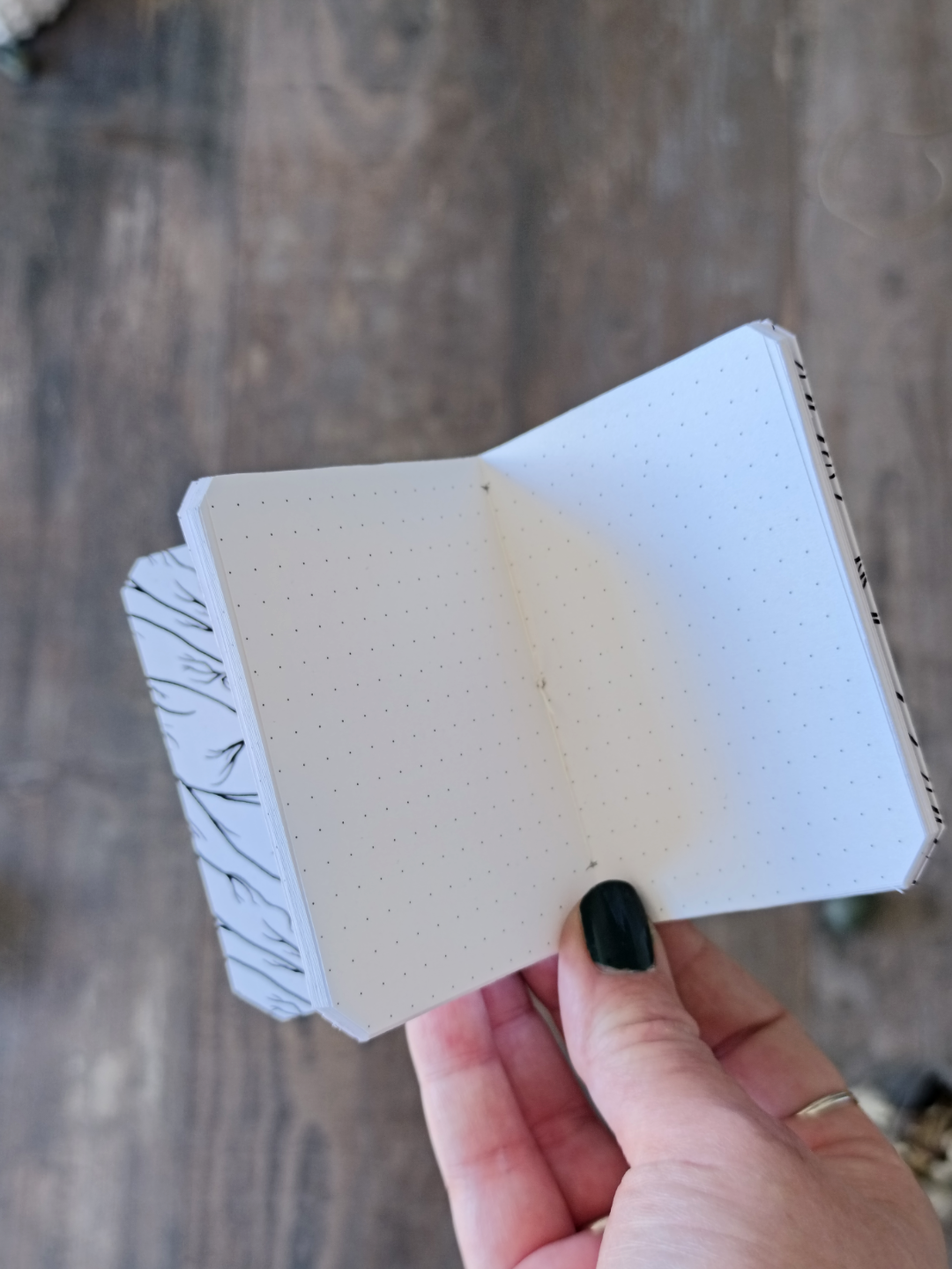 Mini carnet Moonmoths - Points