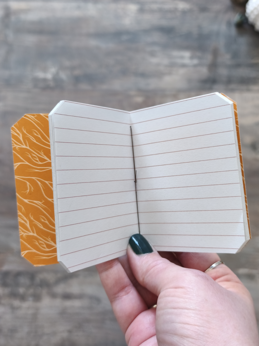Mini carnet Moonmoths - Mix