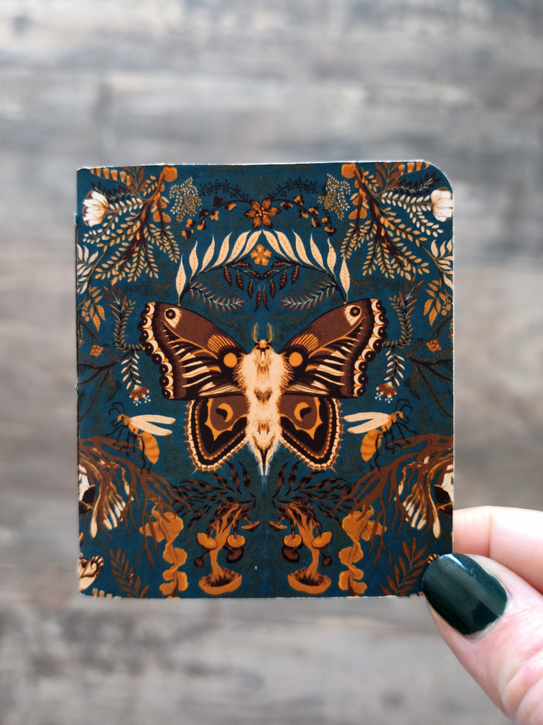 Mini carnet Moonmoths - Points