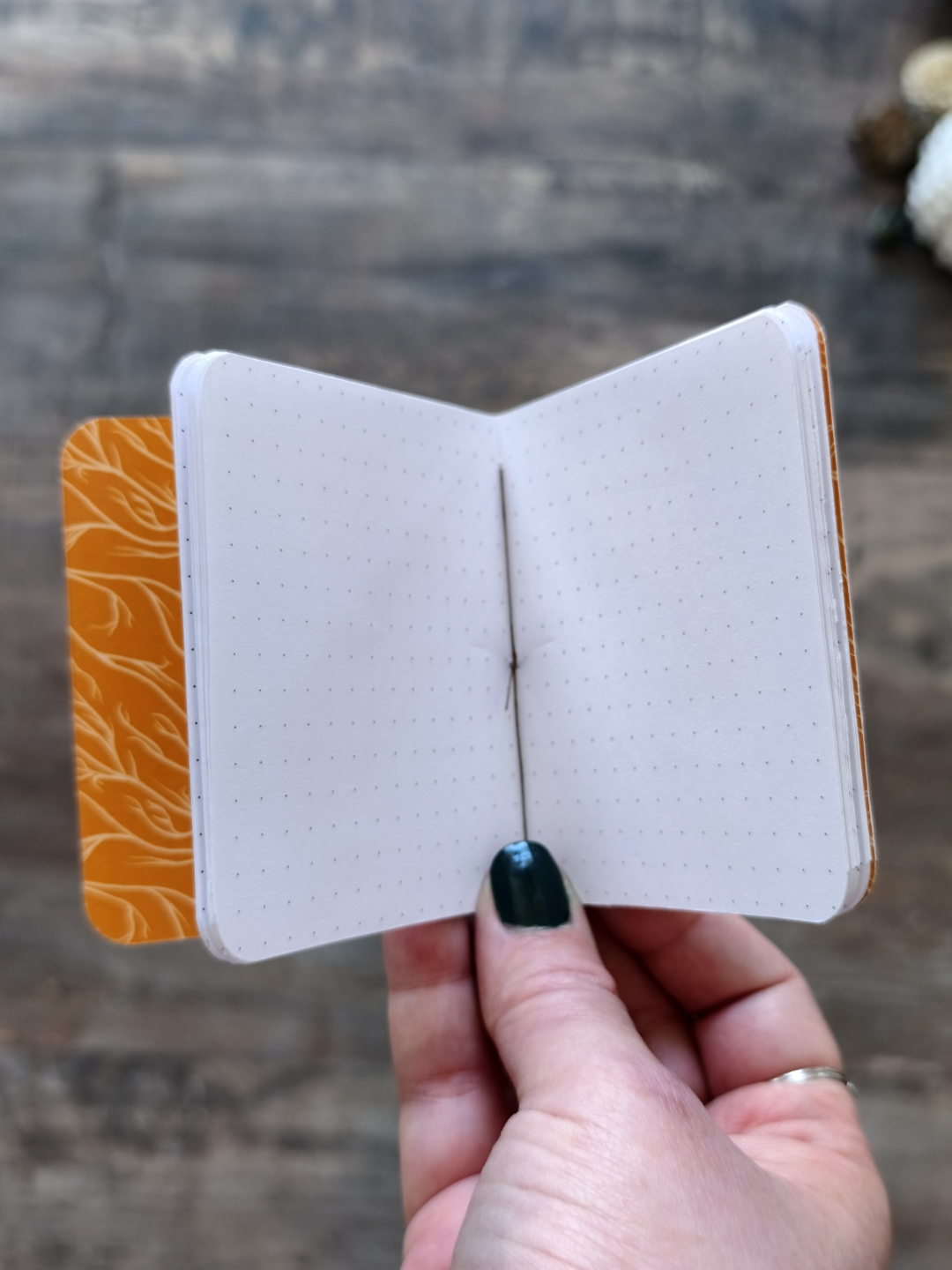 Mini carnet Moonmoths - Points