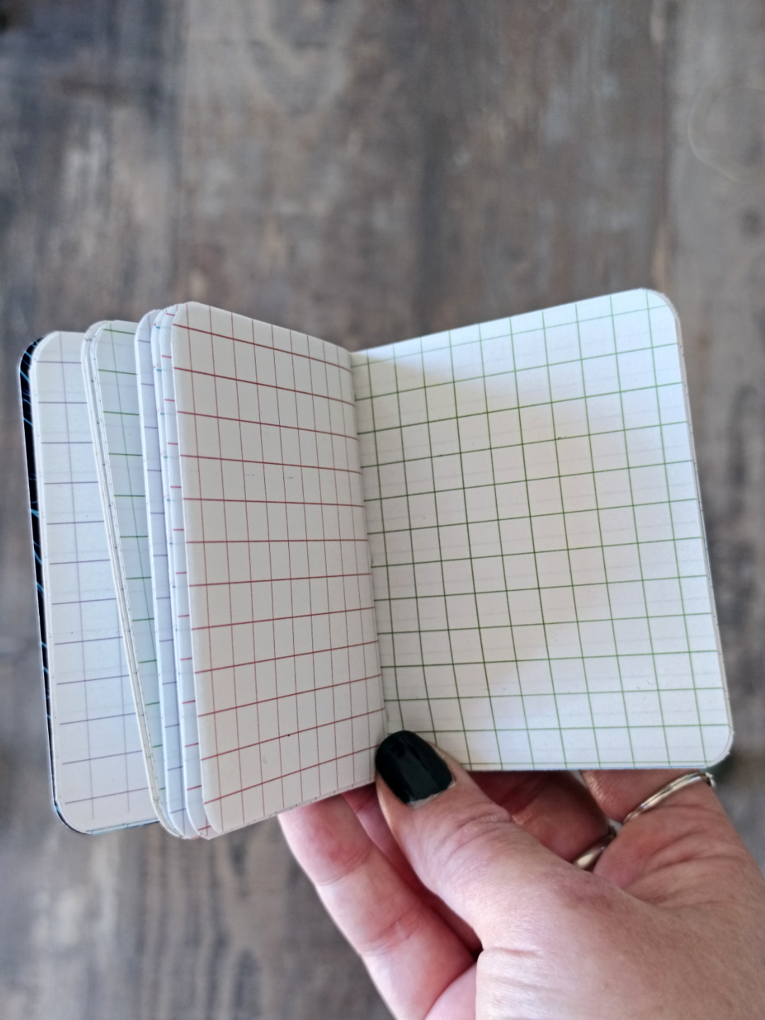 Mini carnet Moonmoths - Carreaux