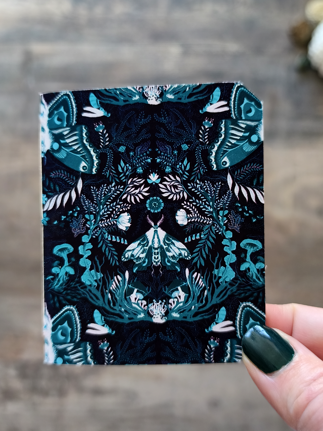 Mini carnet Moonmoths - Mix