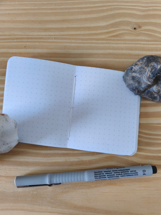 Mini carnet Flowerbugs - Points