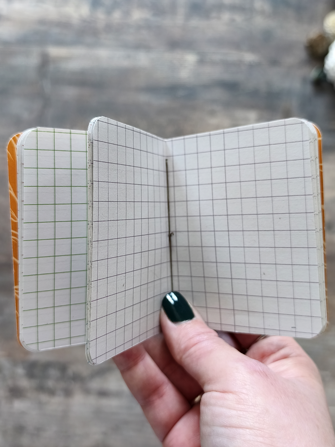 Mini carnet Obscure Creatures - Carreaux