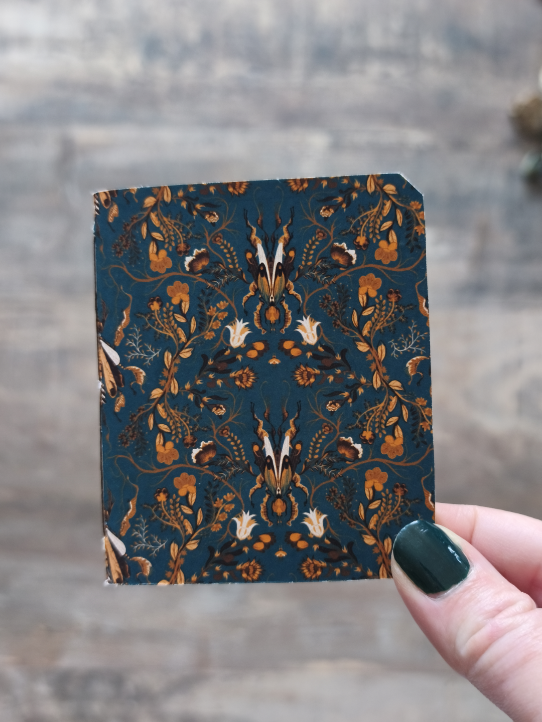 Mini carnet Obscure Creatures - Mix
