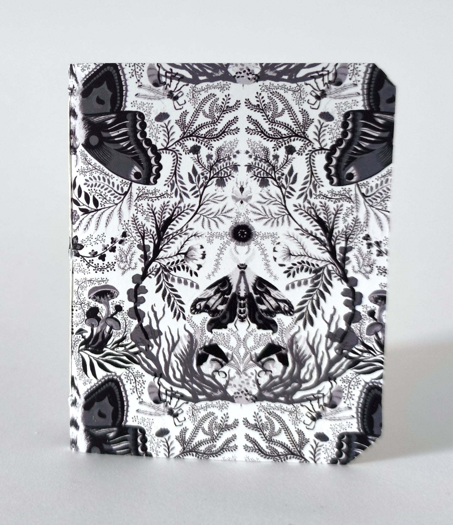 Mini carnet Moonmoths - Points