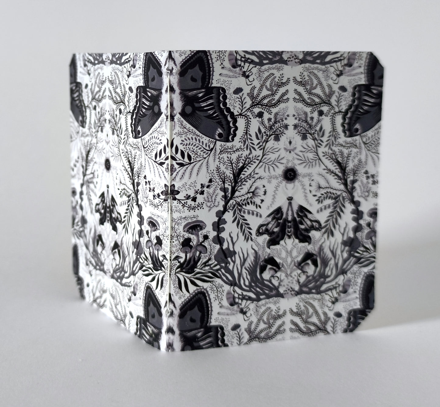 Mini carnet Moonmoths - Points