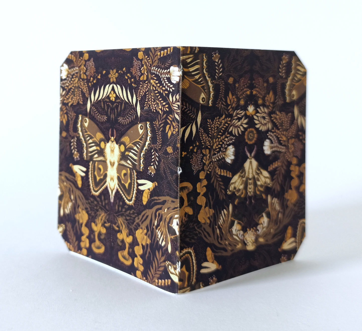 Mini carnet Moonmoths - Mix