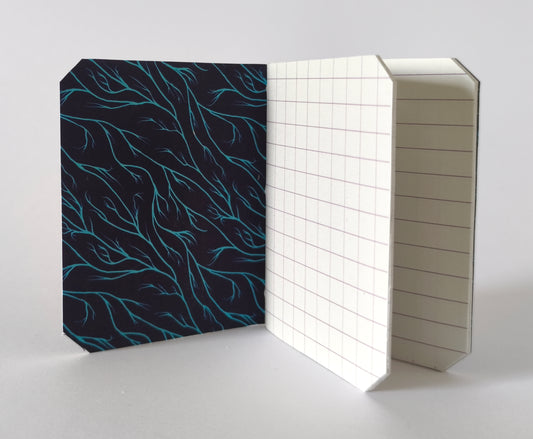 Mini carnet Moonmoths - Mix