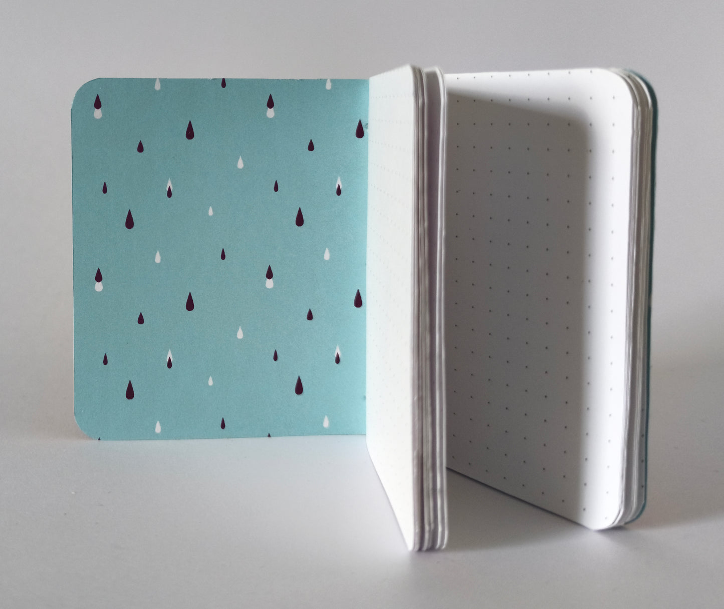 Mini carnet Flowerbugs - Points